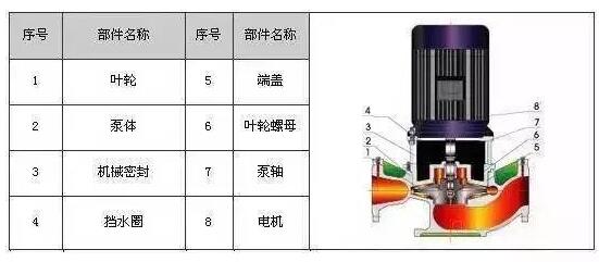 离心泵